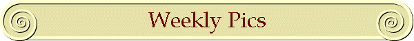Weekly Pics